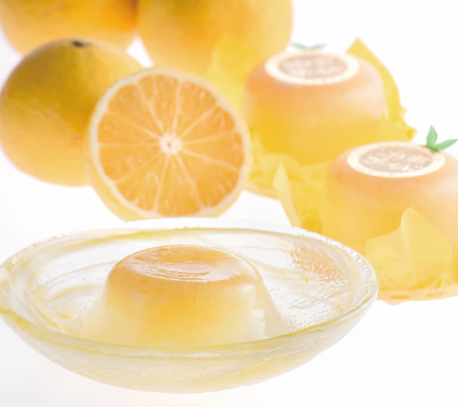 湘南ゴールドゼリー